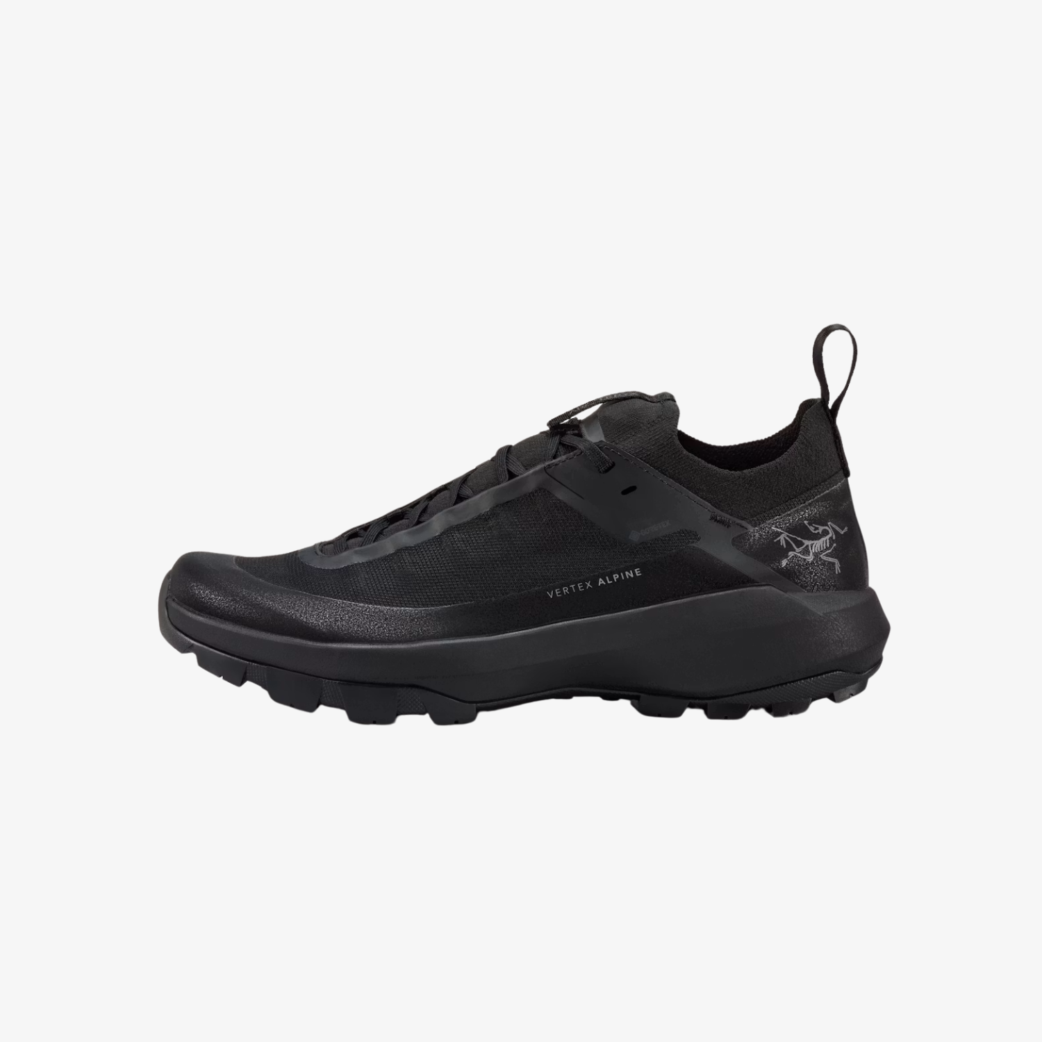 Arc'teryx Men's Vertex Alpine GTX Shoe in Black/Black