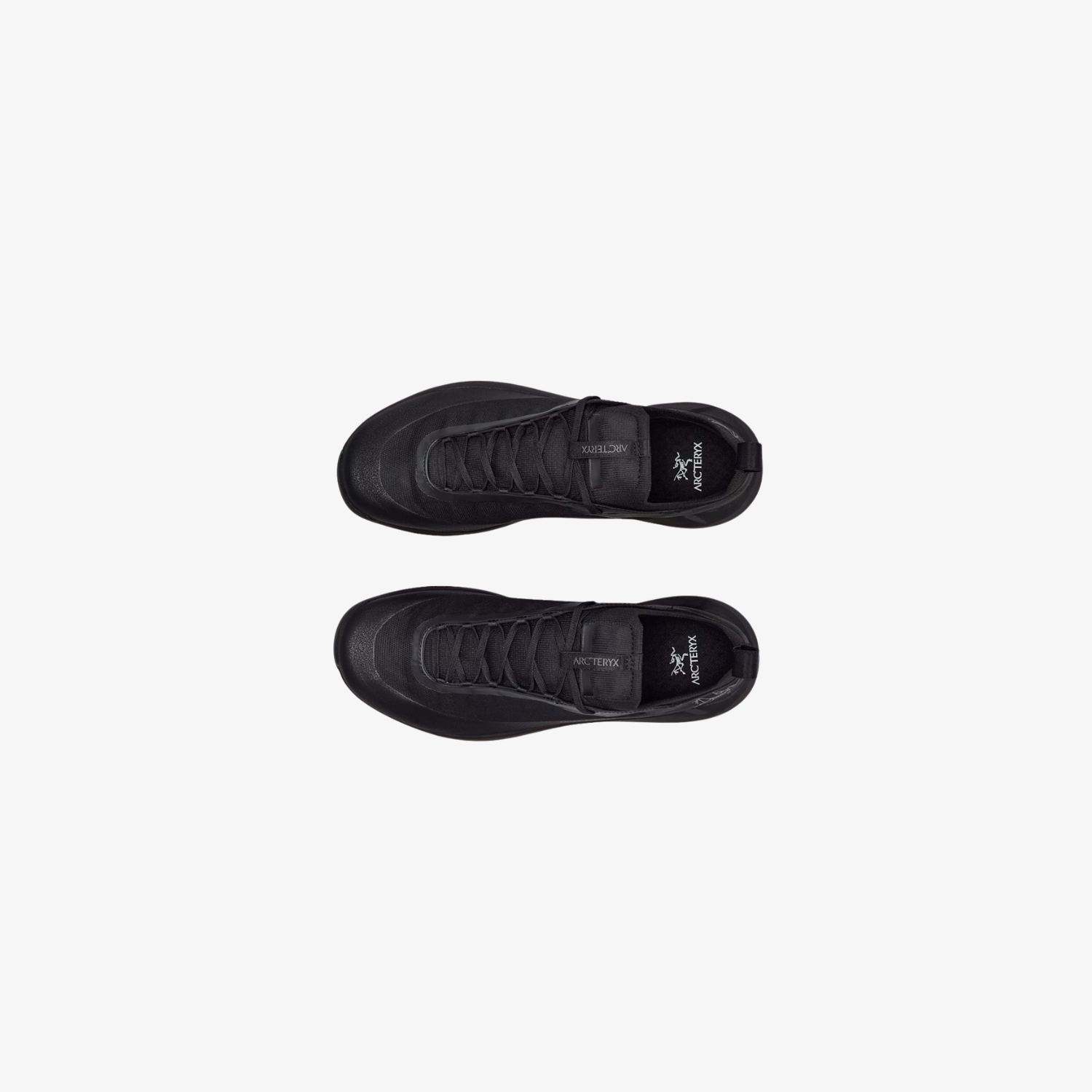 Arc'teryx Men's Vertex Alpine GTX Shoe in Black/Black
