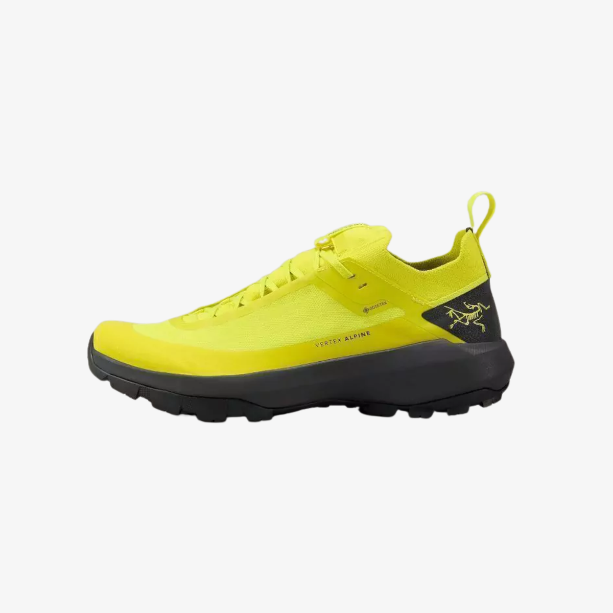 Arc'teryx Men's Vertex Alpine GTX Shoe in Euphoria and Graphite