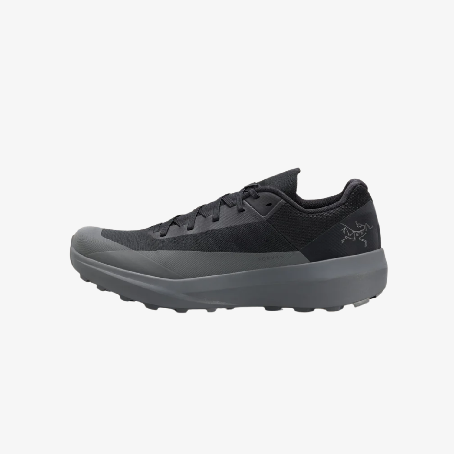 Arc'teryx Norvan LD 4 GTX Shoe Men's