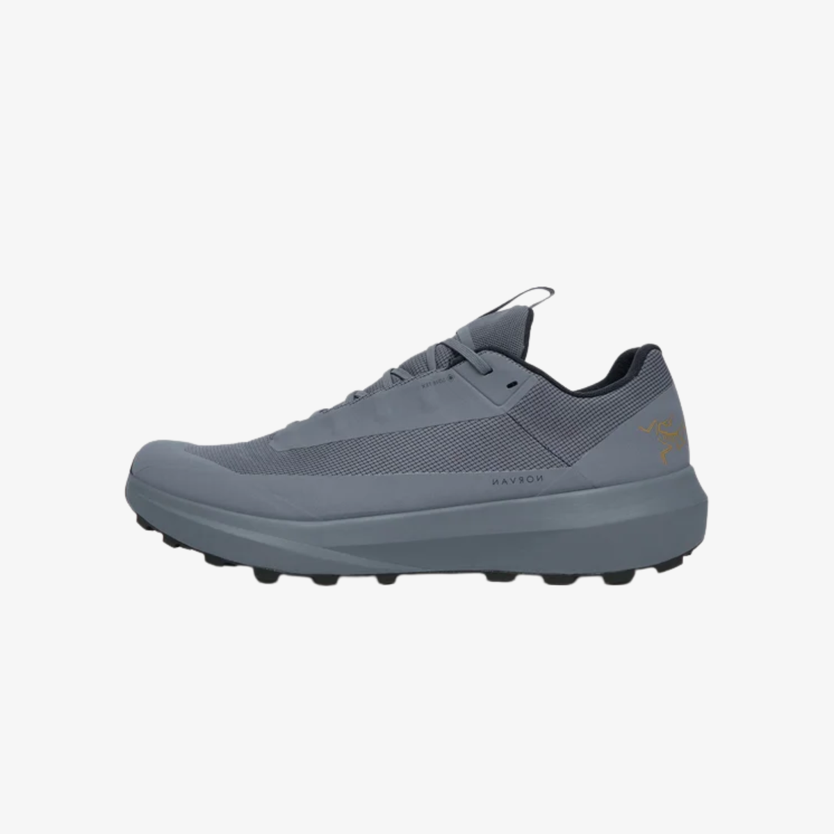 Arc'teryx Norvan LD 4 GTX Shoe Men's