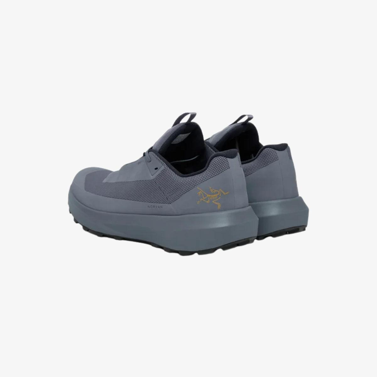 Arc'teryx Norvan LD 4 GTX Shoe Men's
