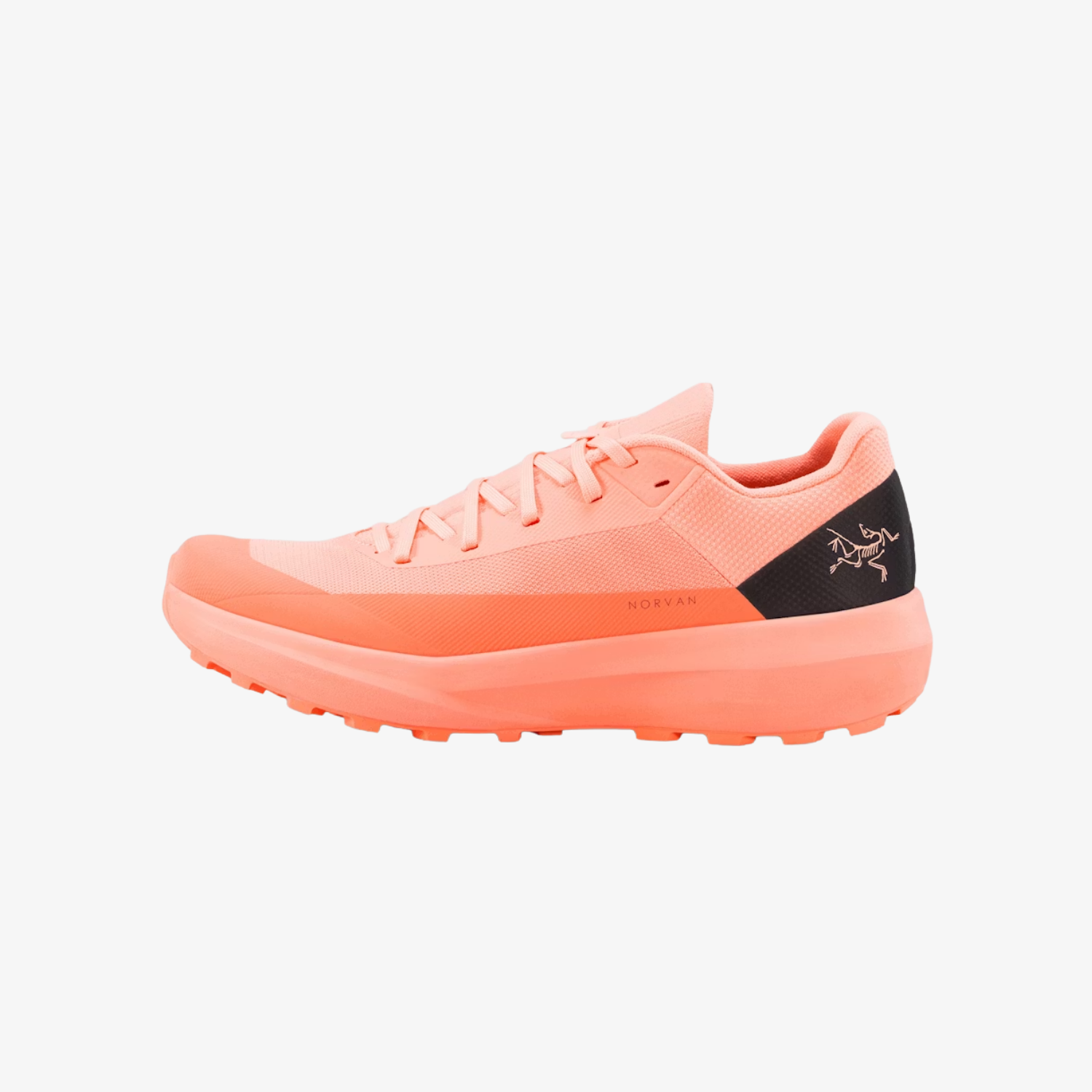Arc'teryx Norvan LD 4  Shoe Flicker (Women's)
