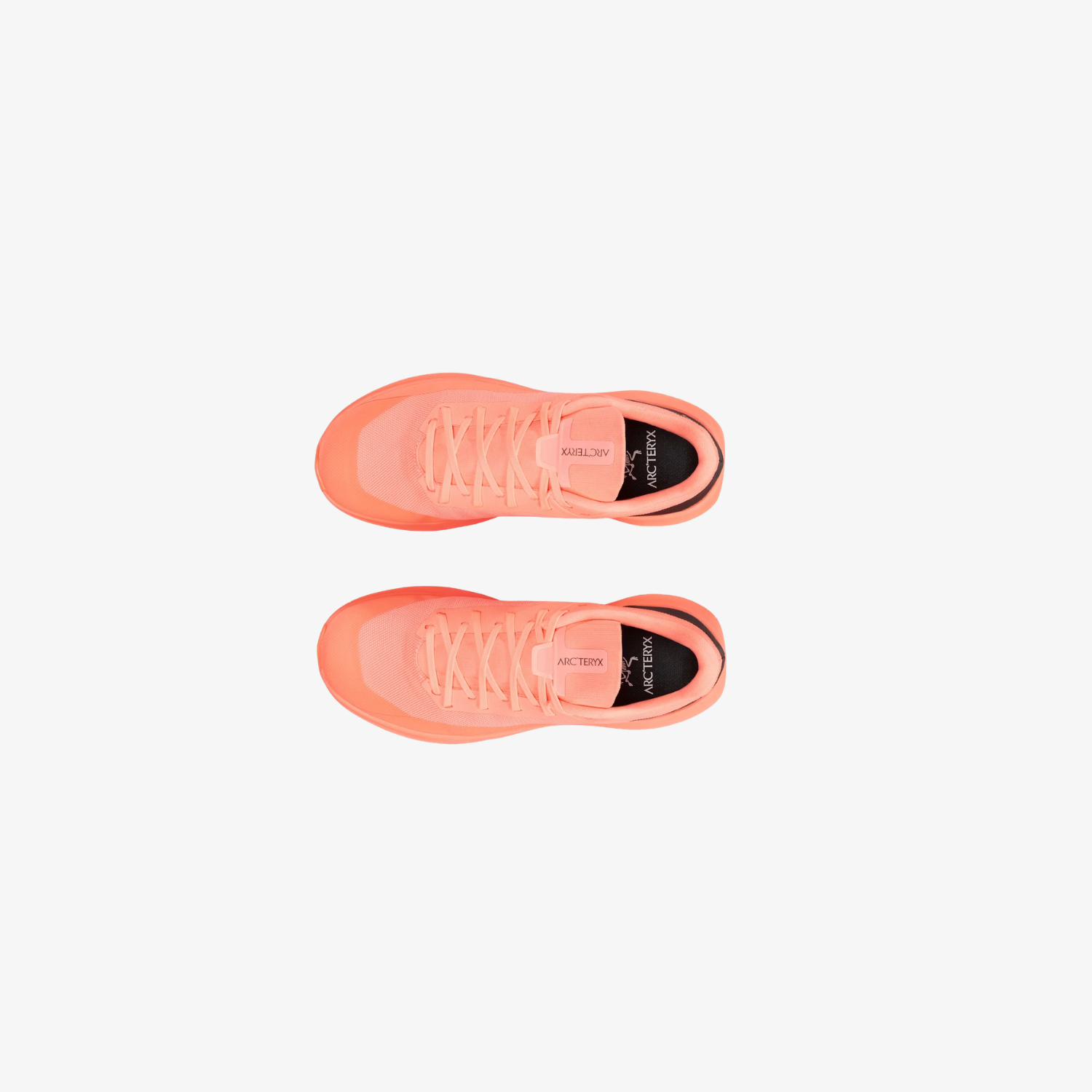 Arc'teryx Norvan LD 4  Shoe Flicker (Women's)