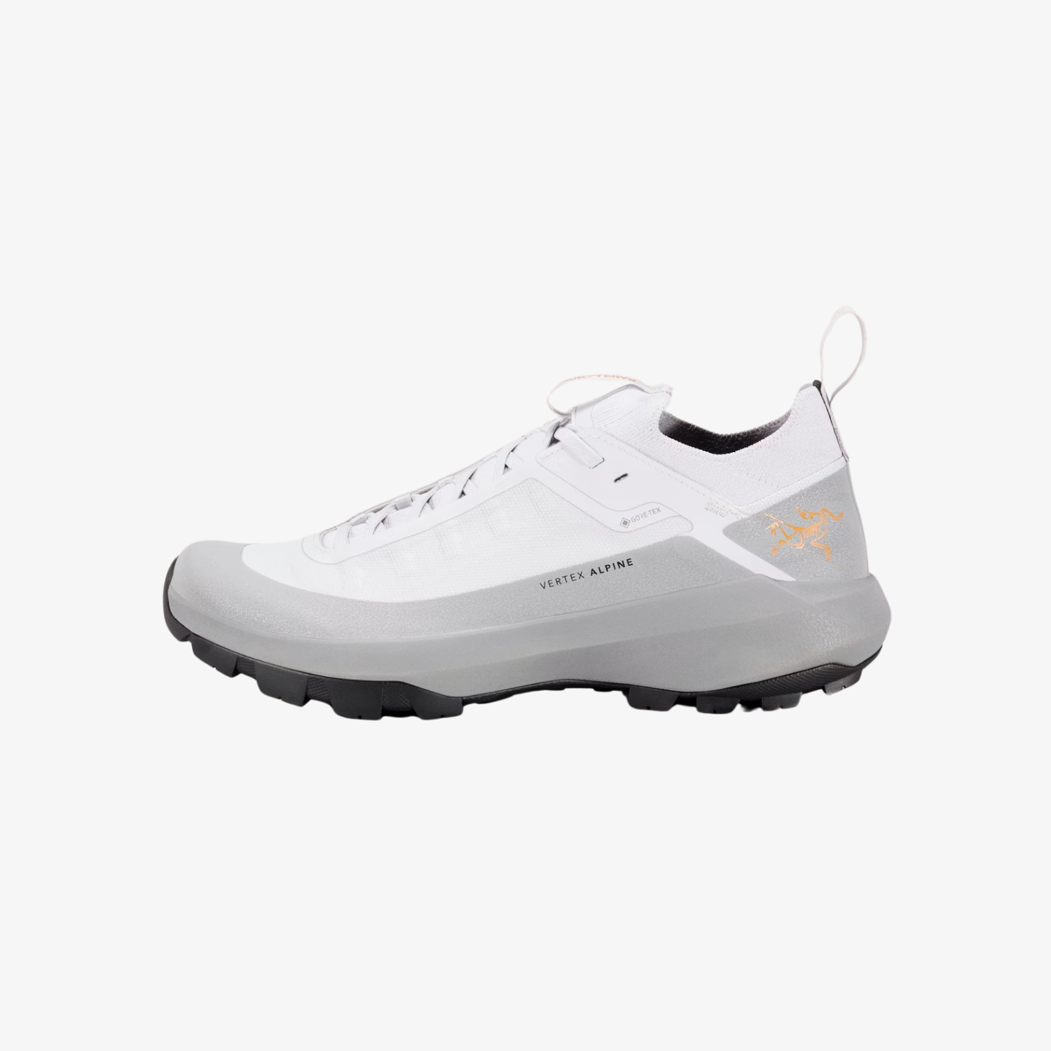 Arc'teryx Vertex Alpine GTX Shoe Olium Clear Men's